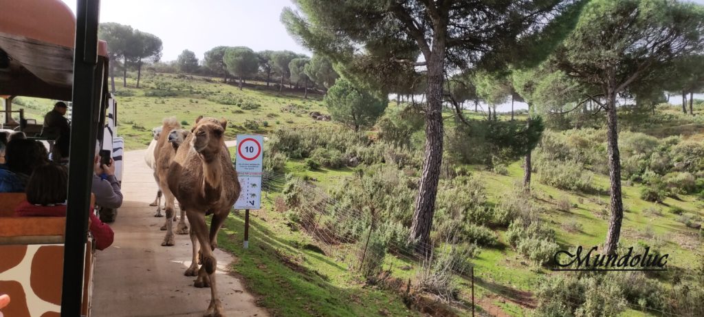 Imagen de la galería del recorrido