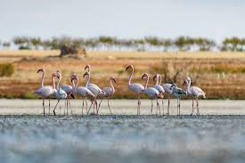 Miniatura de la imagen del viaje