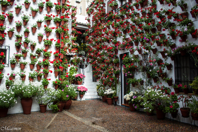 Miniatura de la imagen del viaje